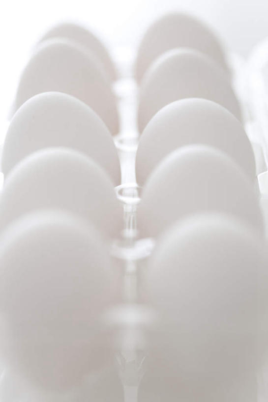 无人,竖图,俯视,室内,特写,白天,一排,许多,环保,朦胧,模糊,整齐,蛋格,蛋,鸡蛋,排列,白色,摄影,影棚,回收,资源,队列,利用,低碳,循环,草鸡蛋,蛋托,蛋盒,卵,彩图,高角度拍摄,影棚拍摄,拍摄