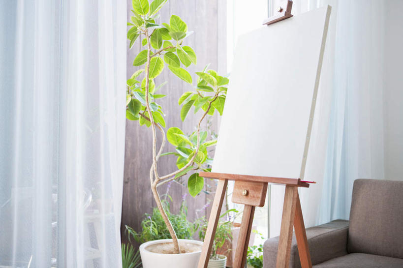 无人,横图,室内,特写,白天,正面,绘画,植物,窗帘,沙发,卧室,一块,艺术,装饰,盆栽,画板,美术用品,盆景,画架,绿色,自然,帘子,遮阳,生长,成长,华丽,修饰,美术,点缀,一盆,绘画工具,衬托,美观,雅致,雅观,彩图,睡房,卧房,皮沙发