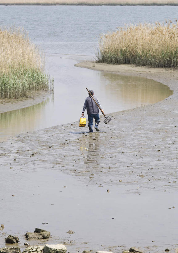东方人,一个人,渔夫,站,竖图,俯视,室外,白天,河流,水,植物,帽子,亚洲,仅一个男性,仅一个人,仅一个中年男性,服装,枯萎,草帽,河水,水流,枯草,拿,拿着,注视,休闲装,黄种人,草,衣服,黄色,观察,看,站着,休闲,休闲服,服饰,渔网,观看,渔具,沼泽,察看,关注,抓捕,捕捞,鱼网,拉网,捕捞工具,男人,男性,中年男性,亚洲人,捕鱼人,打鱼人,站立,彩图,高角度拍摄,全身