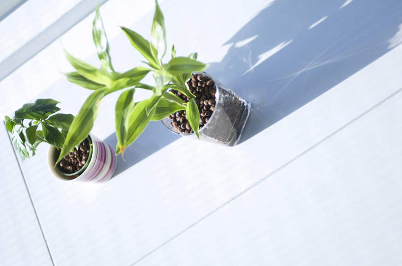 无人,横图,俯视,室内,特写,白天,植物,阴影,光线,瓷砖,地砖,盆栽,影子,盆景,地面,两盆,绿色,阳光,自然,生长,成长,彩图,高角度拍摄