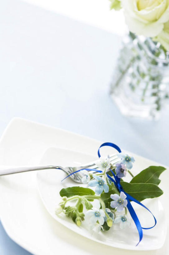 无人,竖图,俯视,室内,特写,白天,植物,餐具,叶子,一把,一根,许多,装饰,盛开,盆栽,丝绸,丝带,叉,绿叶,缎带,盆景,花蕾,绸带,花,花瓣,花朵,鲜花,蓝色,绿色,自然,盘子,花苞,花蕊,嫩叶,生长,成长,华丽,修饰,点缀,衬托,美观,雅致,雅观,风蜡花,杰拉尔顿腊花,蜡花,淘金彩梅,叶,叶片,进餐用具,烹调用具,彩图,高角度拍摄