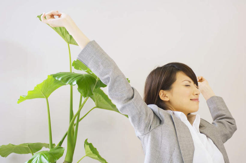 东方人,一个人,闭眼,伸展双臂,横图,室内,白天,正面,西装,叶子,亚洲,仅一个年轻女性,仅一个女性,仅一个人,伸展,套装,正装,装饰,绿叶,职业装,黄种人,伸懒腰,嫩叶,放松,华丽,修饰,点缀,惬意,衬托,美观,雅致,雅观,懒腰,年轻女性,女人,女性,亚洲人,叶,叶片,闭眼睛,闭着眼,闭着眼睛,敞开双臂,伸开双臂,展开双肩,张开手臂,张开双臂,半身,彩图,慵懒