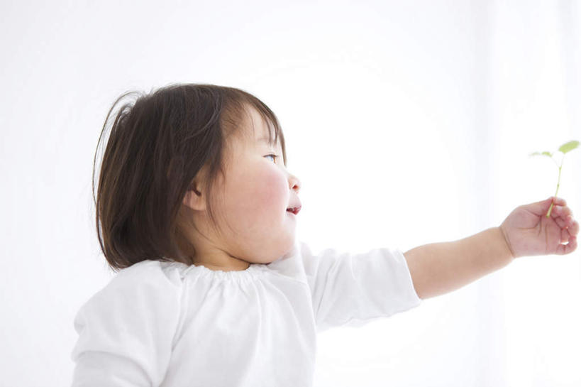 东方人,儿童,一个人,站,笑,捏,微笑,露齿笑,横图,室内,白天,白色背景,仰视,纯洁,叶子,亚洲,仅一个女性,仅一个人,一片,握,短裤,服装,绿叶,拿,捏着,拿着,注视,黄种人,小孩,衣服,白色,树苗,观察,看,站着,仅一个小孩,嫩叶,可爱,童年,童趣,握着,摄影,服饰,影棚,观看,察看,衣着,穿着,关注,童真,烂漫,无邪,衣饰,天真,女孩,女人,女性,亚洲人,孩子,长发,叶,叶片,站立,半身,彩图,低角度拍摄,影棚拍摄,拍摄,女生