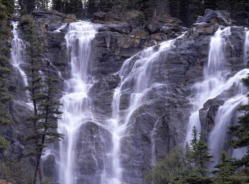 无人,横图,室外,白天,仰视,旅游,度假,美景,瀑布,水,植物,加拿大,飞溅,湍急,溅,液体,景观,水滴,娱乐,水珠,树,树木,绿色,自然,享受,休闲,景色,放松,生长,成长,北美,北美洲,喷洒,自然风光,美洲,阿尔伯塔省,阿尔伯塔,北亚美利加洲,亚美利加洲,艾伯塔,艾伯塔省,跌水,彩图,低角度拍摄