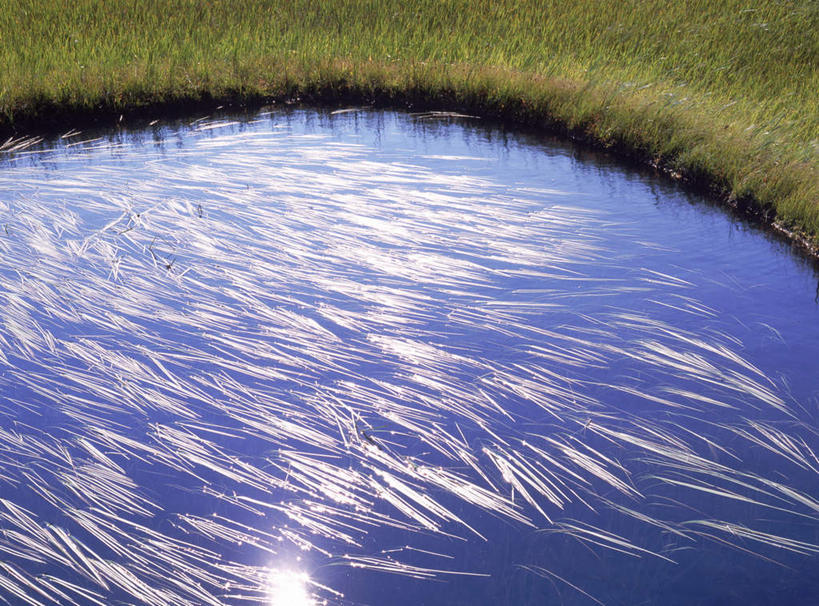 无人,横图,俯视,室外,白天,旅游,度假,草地,草坪,湖,湖泊,美景,水,植物,日本,亚洲,许多,波纹,湖面,景观,水流,水面,水草,涟漪,娱乐,草,黄色,蓝色,绿色,水纹,自然,波浪,湖水,享受,休闲,景色,放松,自然风光,东亚,本州,本州岛,日本国,水晕,东北地方,山形,山形县,彩图,高角度拍摄