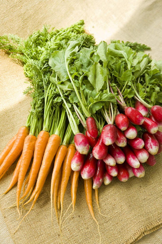 无人,竖图,俯视,室内,特写,白天,萝卜,胡萝卜,蔬菜,叶子,一堆,许多,堆叠,堆积,新鲜,食品,绿叶,食物,红色,嫩叶,有机食品,绿色食品,水萝卜,堆,叶,叶片,红萝卜,甘荀,彩图,高角度拍摄