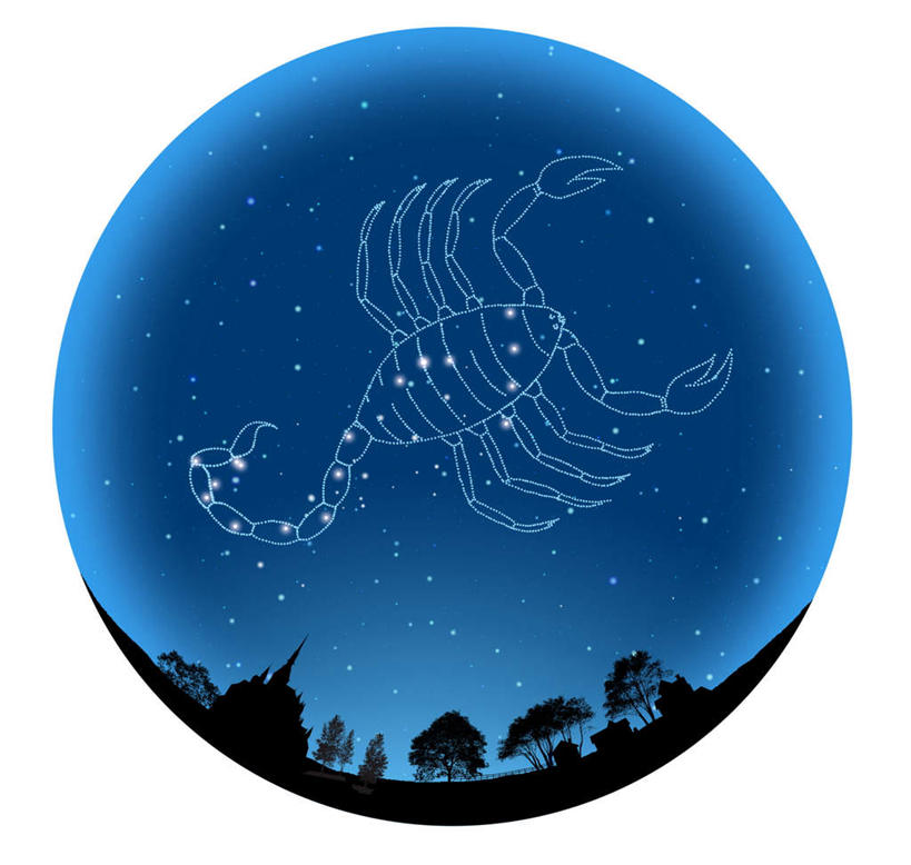 无人,家,方图,室内,白天,白色背景,正面,神秘,数码,科技,植物,阴影,网络,圆形,房屋,屋子,星星,高光,几何,计算机图形,合成,楼房,住宅,树,树木,一个,蓝色,绿色,蓝天,天空,自然,天,安静,星座,生长,单个,成长,电脑合成图,数码合成图,恒星,准确,占卜,写实,具体,具象,孤傲,天蝎座,直觉,彩图,房子