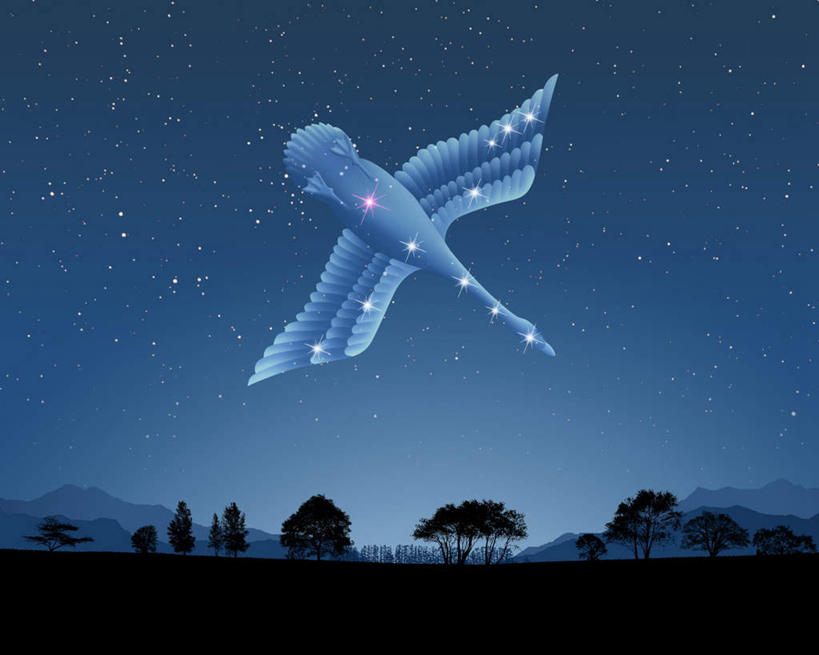 无人,横图,室内,夜晚,正面,数码,宇宙,科技,山,山脉,植物,阴影,网络,山峰,星星,山峦,高光,几何,计算机图形,合成,树,树木,一个,蓝色,绿色,蓝天,天空,自然,群山,天,星座,生长,单个,成长,电脑合成图,数码合成图,恒星,天文,占卜,天文学,写实,具体,具象,星相,占星,天鹅座,彩图