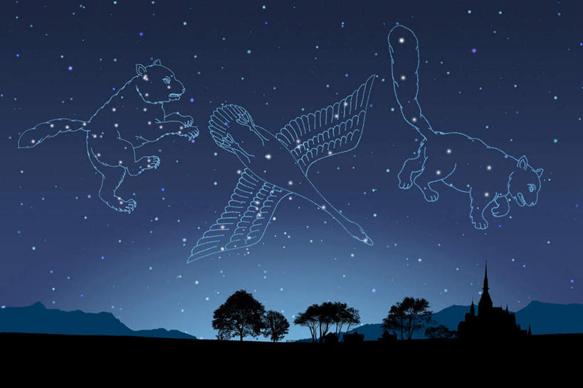 无人,横图,室内,夜晚,仰视,数码,宇宙,科技,草地,草坪,植物,鸟,野生动物,天鹅,熊,阴影,网络,鸟类,星星,高光,几何,计算机图形,合成,草,树,树木,三个,蓝色,绿色,蓝天,天空,自然,动物,天,可爱,星座,生长,成长,电脑合成图,数码合成图,恒星,天文,占卜,天文学,写实,具体,具象,星相,占星,天鹅座,小熊座,鹄,彩图,低角度拍摄