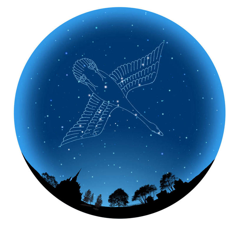 无人,横图,室内,白天,白色背景,正面,数码,宇宙,科技,草地,草坪,植物,阴影,网络,星星,高光,几何,计算机图形,合成,草,蓝色,绿色,蓝天,天空,自然,天,星座,电脑合成图,数码合成图,恒星,天文,占卜,天文学,写实,具体,具象,星相,占星,天鹅座,彩图