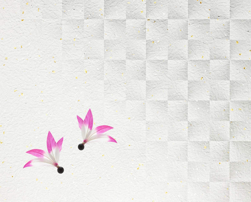 无人,横图,俯视,室内,特写,白天,锻炼,游戏,运动,玩具,板羽球,方格,格子,玩,娱乐,运动器械,两个,粉色,灰色,休闲,健身器械,益智,摄影,影棚,活动,毽子,发泄,消遣,智力,健身器材,宣泄,羽子板,毽球,花毽,鸡毛毽,打手毽,毽子板球,体育,玩耍,嬉戏,彩图,高角度拍摄,影棚拍摄,健身,拍摄,运动器材