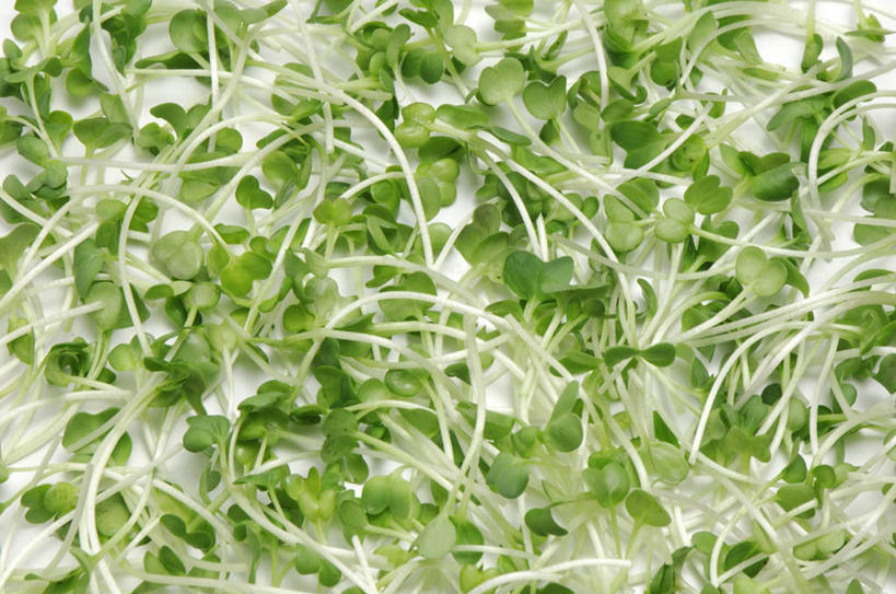 无人,横图,俯视,室内,特写,白天,桌面,桌子,蔬菜,叶子,一堆,许多,堆叠,堆积,新鲜,豆芽,食品,绿叶,食物,嫩叶,摄影,有机食品,绿色食品,影棚,堆,豆芽菜,芽苗菜,叶,叶片,彩图,高角度拍摄,影棚拍摄,拍摄