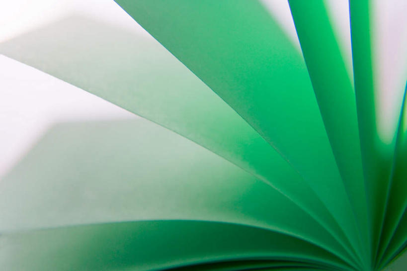 无人,横图,俯视,室内,特写,白天,白色背景,桌面,书籍,一本,一排,许多,阴影,朦胧,模糊,整齐,光线,影子,纸张,排列,绿色,阳光,打开,摄影,影棚,翻阅,开启,队列,书,图书,彩图,高角度拍摄,影棚拍摄,拍摄