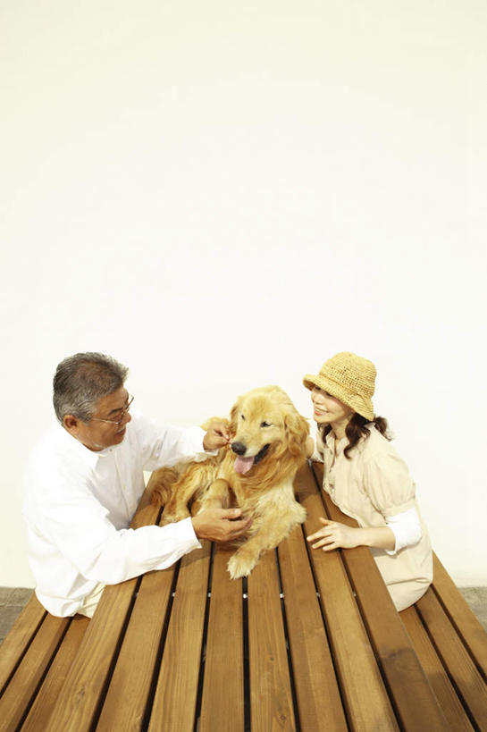 东方人,头发,两个人,家庭,夫妻,坐,笑,摸,微笑,露齿笑,竖图,室外,白天,侧面,爱情,桌子,宠物,狗,帽子,椅子,亚洲,一排,许多,抚摸,条纹,服装,整齐,木条,木椅,墙,浪漫,注视,休闲装,黄种人,金毛犬,相视,墙壁,墙面,排列,一只,衣服,白色,动物,遮阳帽,观察,看,休闲,温暖,温馨,一家人,面对面,休闲服,恩爱,可爱,恋人,服饰,金毛,观看,对视,和睦,察看,队列,关注,寻回犬,相对,金毛寻回犬,忠诚,相看,一顶,老年男性,老年女性,男人,男性,女人,女性,亚洲人,夫妇,情侣,犬,触摸,接触,坐着,半身,彩图,伴侣,融洽