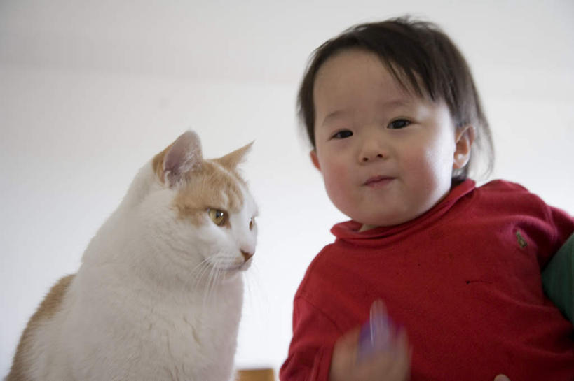 东方人,儿童,头发,一个人,坐,笑,摸,微笑,露齿笑,横图,室内,白天,正面,毛衣,纯洁,宠物,猫,亚洲,仅一个女性,仅一个人,抚摸,墙,扭头,注视,黄种人,墙壁,墙面,一只,小孩,红色,黑色,动物,观察,看,转头,仅一个小孩,可爱,童年,童趣,观看,察看,关注,猫咪,童真,烂漫,无邪,天真,女孩,女人,女性,亚洲人,孩子,触摸,接触,坐着,半身,彩图,绒衣,套衫,套头毛衣,线衣,女生