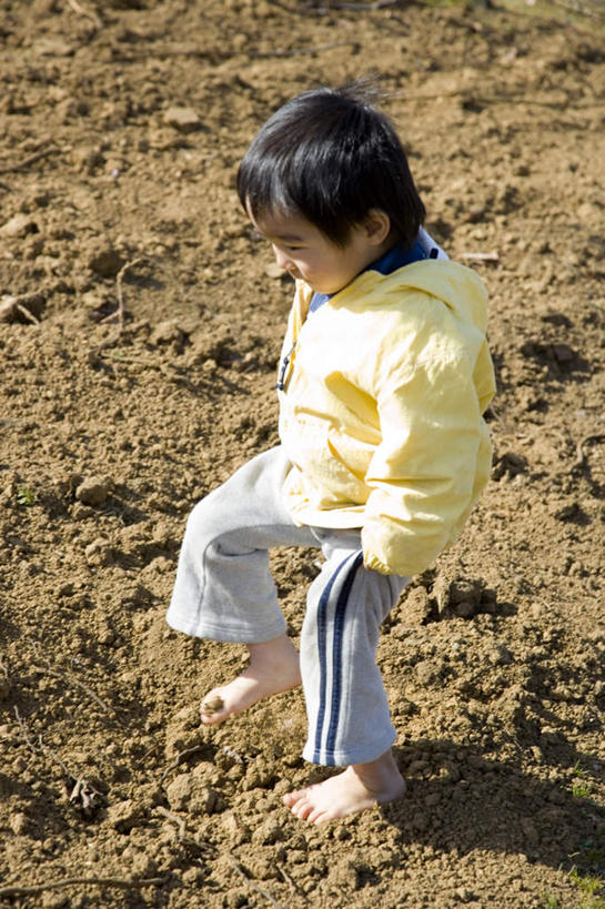 东方人,儿童,头发,一个人,农田,站,走,竖图,俯视,室外,白天,旅游,度假,纯洁,庄稼,农作物,亚洲,仅一个男性,仅一个人,阴影,服装,光线,影子,泥土,土壤,注视,休闲装,黄种人,娱乐,小孩,衣服,黄色,黑色,阳光,低头,观察,看,站着,仅一个小孩,享受,休闲,赤脚,休闲服,放松,可爱,童年,童趣,服饰,观看,察看,关注,童真,烂漫,无邪,天真,男孩,男人,男性,亚洲人,孩子,步行,散步,站立,走路,彩图,高角度拍摄,全身,耕地,庄稼田,男生