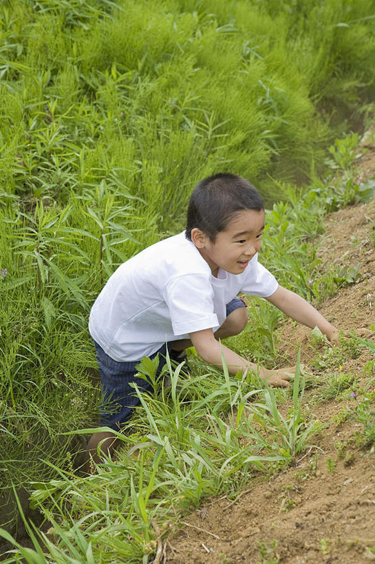 东方人,儿童,头发,一个人,农田,站,笑,摸,微笑,露齿笑,竖图,俯视,室外,白天,旅游,度假,纯洁,庄稼,农作物,草地,草坪,植物,亚洲,仅一个男性,仅一个人,抚摸,服装,注视,休闲装,黄种人,娱乐,草,小孩,衣服,绿色,白色,黑色,低头,观察,看,站着,仅一个小孩,享受,休闲,休闲服,放松,可爱,童年,童趣,服饰,观看,察看,关注,童真,烂漫,无邪,天真,男孩,男人,男性,亚洲人,孩子,触摸,接触,站立,彩图,高角度拍摄,全身,耕地,庄稼田,男生