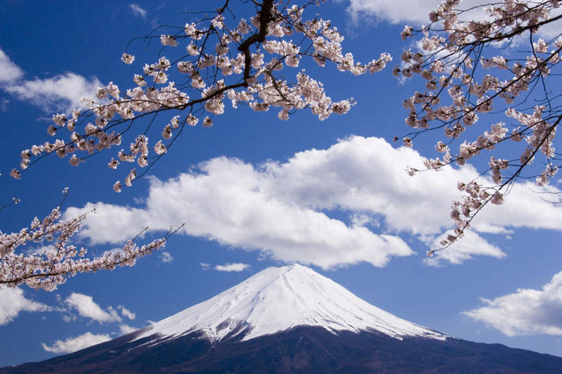 无人,横图,室外,白天,仰视,旅游,度假,火山,美景,樱花,富士山,静冈县,日本,亚洲,阴影,盛开,光线,影子,景观,云,云朵,花蕾,云彩,娱乐,花,花瓣,花朵,鲜花,蓝色,白色,白云,蓝天,天空,阳光,自然,天,花苞,花蕊,享受,休闲,景色,放松,自然风光,东亚,本州,本州岛,日本国,中部地方,静冈,山梨,山梨县,仙樱花,福岛樱,青肤樱,活火山,死火山,休眠火山,荆桃,彩图,低角度拍摄