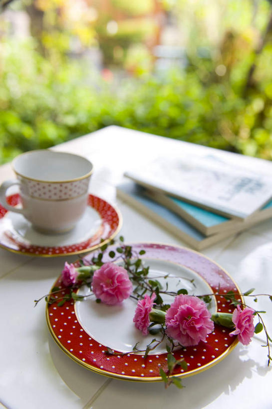 无人,竖图,俯视,室外,白天,旅游,度假,热情,草地,草坪,美景,植物,餐桌,桌子,康乃馨,报纸,杯子,餐具,书籍,一堆,堆叠,堆积,盛开,信息,瓷器,碟子,盘,勺子,景观,咖啡杯,陶瓷制品,祝福,花蕾,娱乐,草,花,花瓣,花朵,鲜花,树,树木,粉色,绿色,自然,盘子,调羹,碟,汤匙,花苞,花蕊,享受,休闲,景色,放松,母爱,清纯,生长,成长,餐台,堆,新闻,自然风光,亲情,瓷杯,思念,宽容,热恋,真挚,荷兰石竹,热心,麝香石竹,石竹,香石竹,书,图书,彩图,高角度拍摄,魅力,报刊