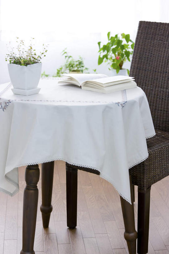 无人,竖图,俯视,室内,白天,旅游,度假,植物,餐桌,地板,桌子,书籍,椅子,许多,阴影,光线,盆栽,影子,木椅,褐色,盆景,地面,娱乐,木地板,绿色,阳光,自然,打开,享受,休闲,放松,生长,成长,餐台,开启,书,图书,彩图,高角度拍摄