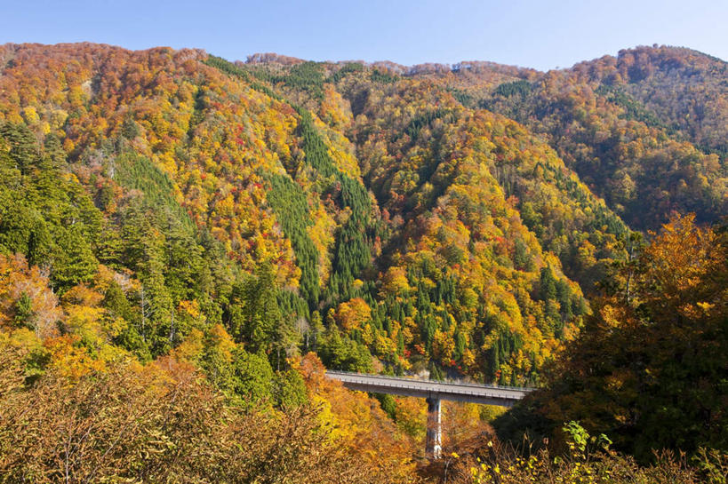 无人,横图,俯视,室外,白天,旅游,度假,草地,草坪,石头,美景,山,山脉,植物,秋田县,日本,亚洲,阴影,光线,石子,影子,景观,山峰,云,云朵,桥,山峦,云彩,娱乐,石桥,拱桥,栈桥,草,树,树木,蓝色,绿色,白云,蓝天,天空,阳光,自然,群山,天,享受,休闲,景色,放松,拱形,生长,成长,人行桥,石拱桥,自然风光,东亚,本州,本州岛,日本国,秋田,东北地方,石块,彩图,高角度拍摄