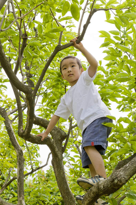 东方人,儿童,一个人,站,举,笑,摸,微笑,露齿笑,竖图,室外,白天,仰视,旅游,度假,游戏,纯洁,植物,亚洲,仅一个男性,仅一个人,抚摸,阴影,服装,光线,影子,玩,注视,休闲装,黄种人,娱乐,树,树木,小孩,衣服,蓝色,绿色,白色,蓝天,天空,阳光,自然,天,观察,看,托,站着,仅一个小孩,享受,休闲,休闲服,放松,可爱,童年,童趣,服饰,生长,成长,观看,活动,察看,发泄,关注,消遣,智力,童真,烂漫,无邪,宣泄,天真,男孩,男人,男性,亚洲人,孩子,触摸,接触,举起,举手,举着,玩耍,嬉戏,向上举,向上伸,向上托,站立,彩图,低角度拍摄,全身,男生
