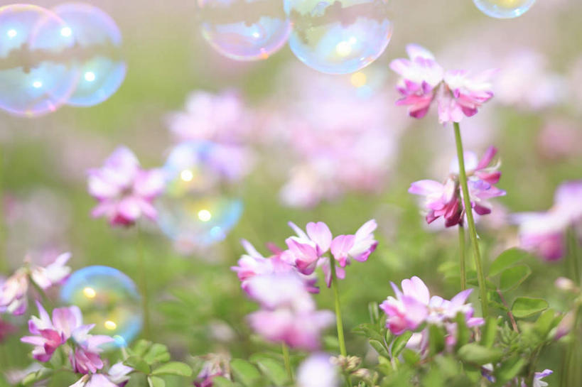 无人,横图,俯视,室外,白天,旅游,度假,数码,科技,草地,草坪,美景,植物,日本,亚洲,许多,阴影,朦胧,模糊,盛开,光线,网络,影子,景观,高光,几何,计算机图形,合成,花蕾,娱乐,草,花,花瓣,花朵,鲜花,粉色,绿色,阳光,自然,花苞,花蕊,享受,休闲,景色,放松,电脑合成图,数码合成图,自然风光,东亚,紫云英,红花草,本州,本州岛,日本国,中部地方,山梨,山梨县,写实,具体,具象,翘摇,彩图,高角度拍摄