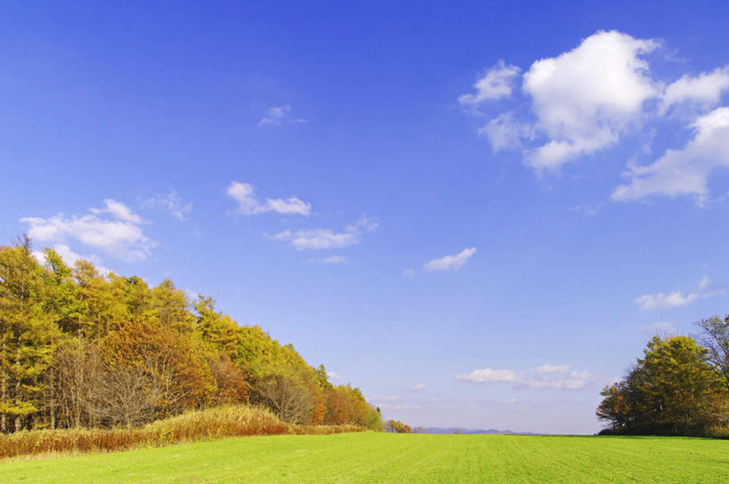 无人,横图,室外,白天,正面,旅游,度假,草地,草坪,美景,植物,北海道,日本,亚洲,许多,阴影,光线,影子,景观,云,云朵,云彩,娱乐,草,树,树木,蓝色,绿色,白云,蓝天,天空,阳光,自然,天,享受,休闲,景色,放松,生长,成长,自然风光,东亚,落叶松,日本国,北海道地方,北海道岛,彩图