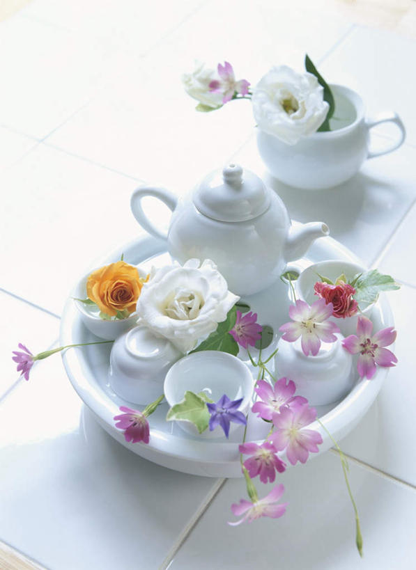 无人,竖图,俯视,室内,白天,爱情,幸福,纯洁,热情,玫瑰,杯子,餐具,许多,阴影,装饰,盛开,光线,瓷砖,地砖,碟子,壶,盘,影子,玫瑰花,地面,浪漫,花蕾,水壶,花,花瓣,花朵,鲜花,一个,白色,阳光,盘子,茶壶,水杯,碟,花苞,花蕊,温暖,温馨,恩爱,单个,华丽,修饰,点缀,和睦,感动,衬托,美观,雅致,雅观,尊敬,天真,刺玫花,徘徊花,茶杯,彩图,高角度拍摄,融洽