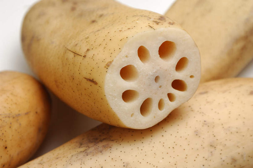 无人,横图,俯视,室内,白天,白色背景,桌面,蔬菜,许多,切开,阴影,新鲜,围绕,光线,影子,食品,藕,食物,排列,黄色,阳光,切,摄影,有机食品,绿色食品,影棚,圆孔,队列,剖面,切面,莲藕,彩图,高角度拍摄,影棚拍摄,拍摄