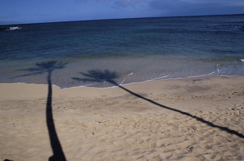 无人,横图,俯视,室外,白天,旅游,度假,海浪,海洋,美景,沙滩,植物,夏威夷,美国,阴影,光线,沙子,影子,海岸,景观,浪花,水平线,云,云朵,辽阔,海平线,沙地,云彩,娱乐,树,树木,蓝色,绿色,白云,蓝天,天空,阳光,自然,海水,天,享受,休闲,广阔,景色,放松,生长,成长,一望无际,北美,北美洲,自然风光,美洲,海景,夏威夷州,爱洛哈之州,北亚美利加洲,亚美利加洲,无边无际,一马平川,大海,风浪,海,海水的波动,海滩,近岸浪,涌浪,彩图,高角度拍摄,水天相接,水天一线