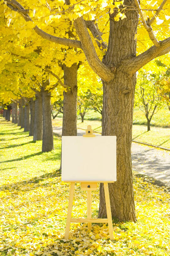 无人,竖图,室外,白天,正面,旅游,度假,草地,草坪,美景,植物,叶子,长野县,日本,亚洲,一块,一张,阴影,光线,木制,影子,纸,景观,枯叶,落叶,画板,娱乐,草,树,树木,黄色,绿色,白色,阳光,自然,木制品,享受,休闲,景色,放松,生长,成长,自然风光,东亚,本州,本州岛,日本国,中部地方,长野,叶,叶片,彩图