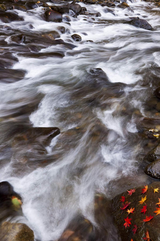 无人,竖图,俯视,室外,白天,旅游,度假,河流,礁石,石头,美景,水,日本,亚洲,阴影,波纹,飞溅,溅,光线,石子,液体,影子,河水,景观,水滴,水流,娱乐,水珠,水纹,小溪,阳光,自然,波浪,溪水,享受,休闲,景色,放松,喷洒,自然风光,东亚,本州,本州岛,日本国,青森,青森县,东北地方,礁,石块,岩石,彩图,高角度拍摄