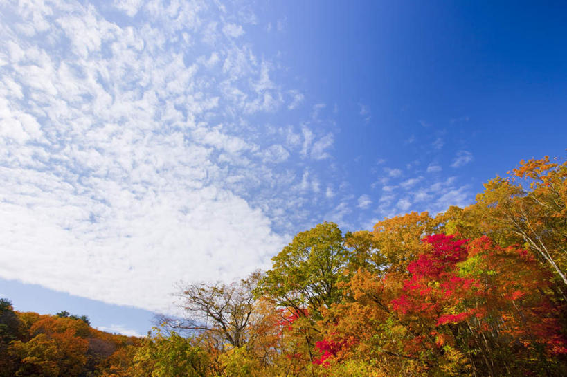 无人,横图,室外,白天,仰视,旅游,度假,草地,草坪,美景,山,山脉,植物,日本,亚洲,阴影,光线,影子,景观,山峰,云,云朵,山峦,云彩,娱乐,草,树,树木,蓝色,绿色,白云,蓝天,天空,阳光,自然,群山,天,享受,休闲,景色,放松,生长,成长,自然风光,东亚,本州,本州岛,日本国,宫城,宫城县,东北地方,彩图,低角度拍摄