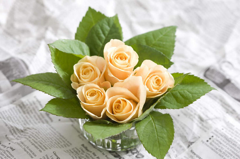 无人,横图,俯视,室内,特写,白天,爱情,幸福,纯洁,热情,桌面,玫瑰,报纸,叶子,阴影,朦胧,模糊,盛开,光线,信息,影子,绿叶,玫瑰花,浪漫,花蕾,花,花瓣,花朵,鲜花,黄色,阳光,花束,花苞,花蕊,一束,温暖,温馨,嫩叶,恩爱,新闻,和睦,感动,尊敬,天真,刺玫花,徘徊花,叶,叶片,彩图,高角度拍摄,融洽,报刊