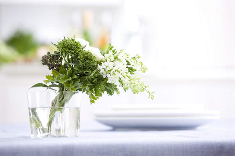 无人,横图,室内,白天,正面,智慧,餐具,花瓶,叶子,许多,阴影,朦胧,模糊,艺术,盛开,光线,碟子,盘,影子,墙,绿叶,花蕾,文化,墙壁,墙面,玻璃制品,花,花瓣,花朵,鲜花,白色,阳光,插花,盘子,玻璃瓶,瓶子,碟,花苞,花蕊,嫩叶,插花艺术,创造,创作,想象,叶,叶片,彩图