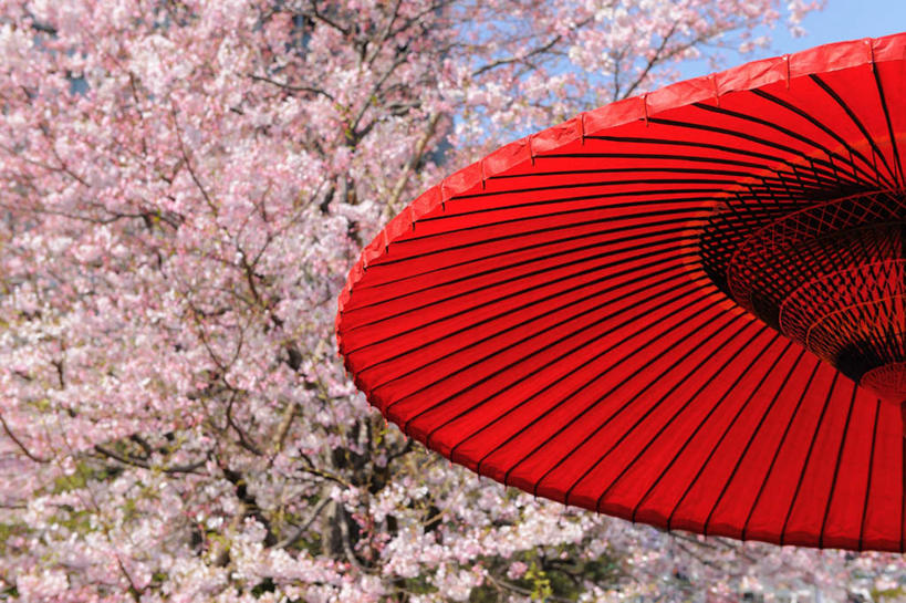 无人,横图,室外,白天,仰视,旅游,度假,幸福,美景,植物,樱花,东京,日本,亚洲,一把,阴影,盛开,光线,伞,影子,雨伞,纸伞,景观,云,云朵,古典,花蕾,云彩,油纸伞,文化,娱乐,花,花瓣,花朵,鲜花,树,树木,粉色,红色,蓝色,绿色,白云,蓝天,天空,阳光,自然,天,花苞,花蕊,享受,休闲,景色,放松,生长,成长,纪念,吉祥,自然风光,古朴,东亚,本州,关东地方,本州岛,日本国,东京都,仙樱花,福岛樱,青肤樱,平安,荆桃,彩图,低角度拍摄