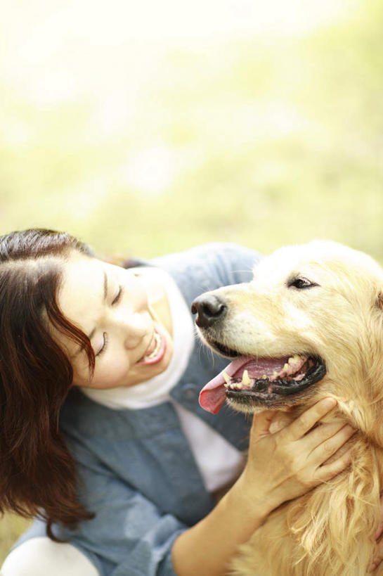 东方人,儿童,头发,一个人,坐,笑,摸,微笑,露齿笑,竖图,俯视,室外,白天,纯洁,宠物,狗,亚洲,仅一个女性,仅一个人,抚摸,弯腰,阴影,服装,光线,影子,扭头,注视,休闲装,黄种人,金毛犬,吐舌头,一只,小孩,衣服,黄色,蓝色,黑色,阳光,动物,观察,看,张嘴,转头,仅一个小孩,休闲,休闲服,可爱,童年,童趣,服饰,金毛,观看,察看,关注,寻回犬,张大嘴巴,童真,烂漫,无邪,金毛寻回犬,忠诚,弯身,天真,女孩,女人,女性,亚洲人,孩子,长发,张开嘴,犬,触摸,接触,坐着,半身,彩图,高角度拍摄,女生