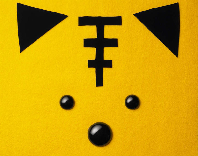 脸,头,脸颊,无人,横图,俯视,室内,白天,桌面,野生动物,黄色背景,注视,一个,动物,观察,看,可爱,摄影,活泼,影棚,单个,观看,察看,关注,头部,脸部,脸蛋,面部,老虎,彩图,高角度拍摄,影棚拍摄,拍摄