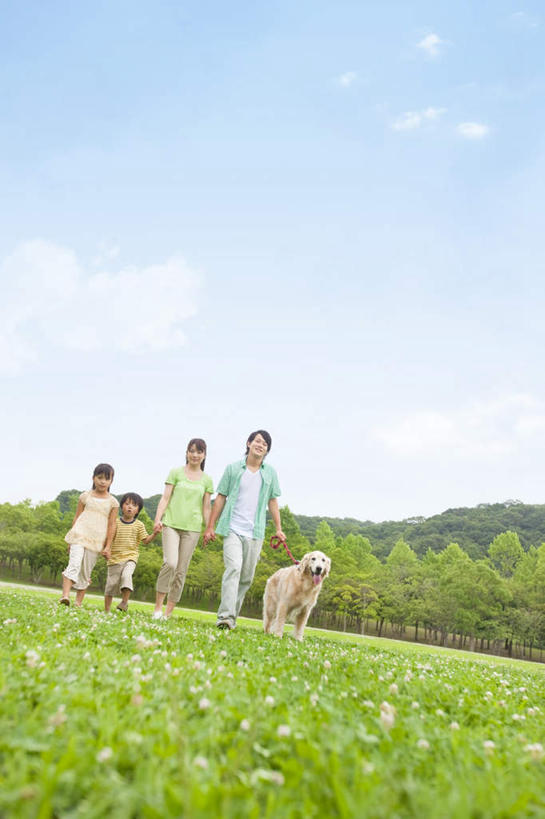 东方人,儿童,四个人,家庭,夫妻,母亲,父亲,女儿,儿子,走,握手,笑,微笑,露齿笑,竖图,室外,白天,仰视,爱情,旅游,度假,纯洁,草地,草坪,美景,植物,亚洲,牵,服装,朦胧,模糊,景观,云,云朵,浪漫,云彩,休闲装,黄种人,娱乐,金毛犬,草,树,树木,一只,小孩,衣服,蓝色,绿色,白云,蓝天,天空,自然,天,享受,休闲,温暖,温馨,父女,父子,母女,母子,一家人,休闲服,景色,恩爱,放松,父爱,可爱,母爱,童年,童趣,恋人,服饰,金毛,生长,晴朗,成长,牵着,和睦,自然风光,寻回犬,童真,烂漫,无邪,金毛寻回犬,天真,男孩,男人,男性,年轻男性,年轻女性,女孩,女人,女性,亚洲人,孩子,年轻人,夫妇,情侣,晴空,步行,搀手,拉手,散步,手搀手,手拉手,手牵手,手握手,走路,彩图,低角度拍摄,全身,伴侣,融洽,男生,女生