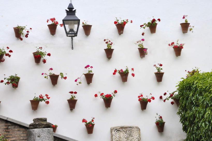 无人,横图,俯视,室外,白天,植物,叶子,照明,西班牙,欧洲,许多,朦胧,模糊,盛开,壁灯,盆栽,墙,灯光,绿叶,盆景,花蕾,安达卢西亚,墙壁,墙面,灯,花,花瓣,花朵,鲜花,排列,红色,绿色,自然,灯具,花苞,花蕊,嫩叶,生长,成长,照亮,照明设备,南欧,安达鲁西亚,科尔多巴,西班牙王国,摆列,安达卢西亚自治区,叶,叶片,彩图,高角度拍摄,布列,分列