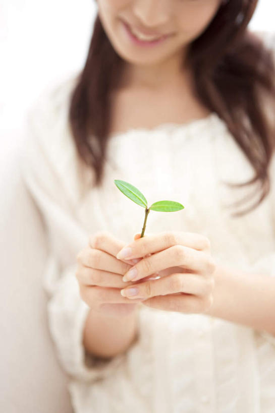 东方人,一个人,捧,笑,微笑,露齿笑,竖图,室内,特写,白天,白色背景,正面,亚洲,仅一个年轻女性,仅一个女性,仅一个人,服装,朦胧,模糊,依偎,注视,休闲装,黄种人,幼苗,一个,衣服,观察,看,靠,靠着,倚靠,休闲,休闲服,摄影,服饰,影棚,单个,观看,察看,倚着,关注,依附,依赖,投靠,幼芽,年轻女性,女人,女性,亚洲人,端,端着,捧着,手捧,半身,彩图,影棚拍摄,拍摄