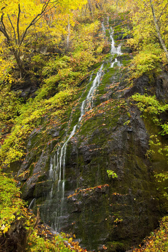无人,竖图,室外,白天,仰视,旅游,度假,草地,草坪,礁石,石头,美景,瀑布,水,植物,叶子,日本,亚洲,飞溅,朦胧,模糊,溅,石子,液体,景观,水滴,绿叶,娱乐,水珠,草,树,树木,绿色,自然,享受,休闲,嫩叶,景色,放松,生长,成长,喷洒,自然风光,东亚,本州,本州岛,日本国,青森,青森县,东北地方,十和田市,叶,叶片,跌水,礁,石块,岩石,彩图,低角度拍摄