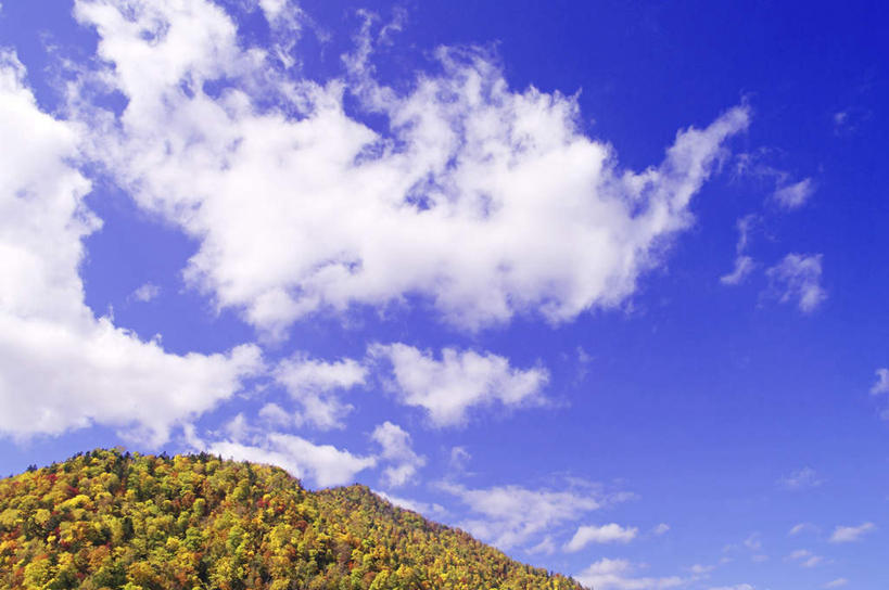 无人,横图,室外,白天,仰视,旅游,度假,美景,秋季,山,山脉,树林,植物,北海道,日本,亚洲,朦胧,模糊,景观,山峰,云,云朵,山峦,云彩,娱乐,树,树木,蓝色,绿色,白云,蓝天,天空,自然,群山,天,享受,休闲,景色,放松,生长,晴朗,成长,自然风光,东亚,札幌,日本国,北海道地方,北海道岛,县厅,晴空,秋,秋天,彩图,低角度拍摄,札幌市