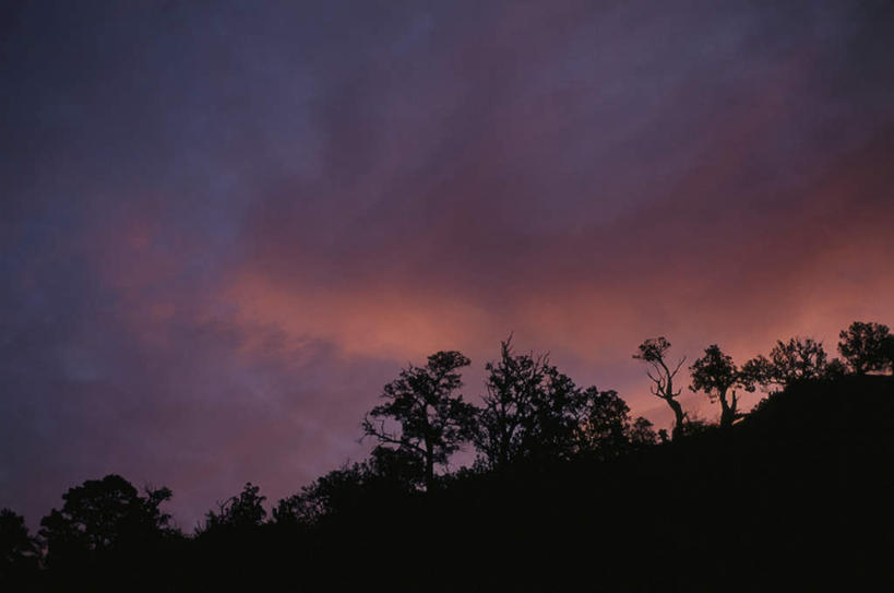 无人,横图,室外,白天,仰视,旅游,度假,美景,日落,植物,美国,朦胧,模糊,景观,晚霞,霞光,云,云朵,云彩,娱乐,树,树木,蓝色,绿色,白云,蓝天,天空,自然,黄昏,天,享受,休闲,景色,彩霞,放松,生长,晴朗,成长,北美,北美洲,犹他州,自然风光,美洲,北亚美利加洲,亚美利加洲,犹他,蜂窝之州,蜂房州,晴空,夕阳,彩图,低角度拍摄