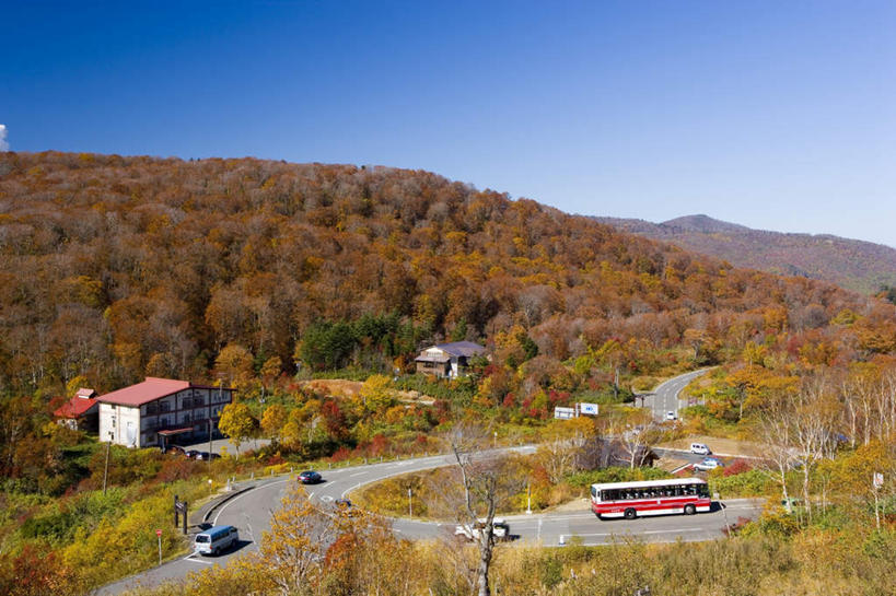 无人,横图,俯视,室外,白天,旅游,度假,美景,山,山脉,树林,植物,道路,路,公路,公共汽车,汽车,秋田县,日本,亚洲,许多,朦胧,模糊,景观,山峰,巴士,公交车,交通,山峦,娱乐,车,树,树木,蓝色,绿色,蓝天,天空,自然,交通工具,轿车,群山,天,享受,休闲,景色,放松,生长,晴朗,成长,自然风光,载具,东亚,本州,万里无云,本州岛,日本国,秋田,东北地方,晴空,晴空万里,马路,彩图,高角度拍摄