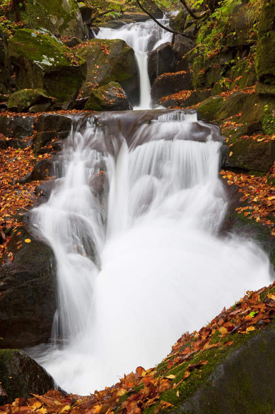 无人,竖图,室外,白天,仰视,旅游,度假,草地,草坪,礁石,石头,美景,瀑布,森林,树林,水,植物,叶子,日本,亚洲,飞溅,朦胧,模糊,溅,石子,液体,景观,水滴,枯叶,落叶,娱乐,水珠,草,树,树木,绿色,自然,享受,休闲,景色,放松,生长,成长,喷洒,自然风光,东亚,本州,本州岛,日本国,青森,青森县,东北地方,十和田市,叶,叶片,跌水,礁,石块,岩石,彩图,低角度拍摄