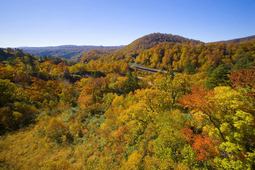 无人,横图,全景,室外,白天,正面,旅游,度假,美景,秋季,山,山脉,树林,天际线,植物,日本,亚洲,朦胧,模糊,地平线,景观,山峰,云,云朵,辽阔,地面,山峦,云彩,娱乐,树,树木,蓝色,绿色,白云,蓝天,天空,自然,群山,天,享受,休闲,景色,放松,生长,晴朗,成长,一望无际,自然风光,延伸,东亚,本州,本州岛,日本国,天地相交,岩手,岩手县,东北地方,八幡平,晴空,秋,秋天,彩图