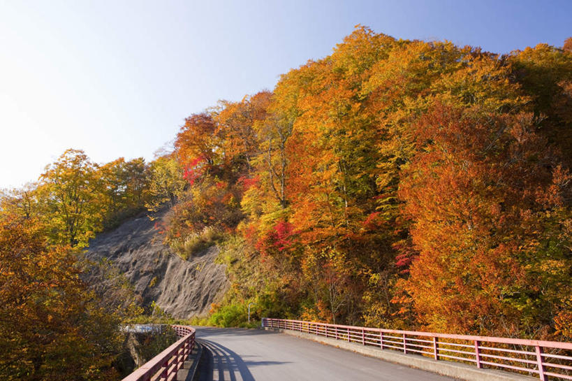 无人,栏杆,横图,室外,白天,正面,旅游,度假,礁石,石头,美景,秋季,植物,道路,路,公路,日本,亚洲,石子,景观,围栏,交通,娱乐,护栏,树,树木,蓝色,绿色,蓝天,天空,自然,天,享受,休闲,景色,放松,生长,晴朗,成长,自然风光,东亚,本州,万里无云,本州岛,日本国,青森,青森县,东北地方,礁,石块,岩石,晴空,晴空万里,秋,秋天,马路,彩图