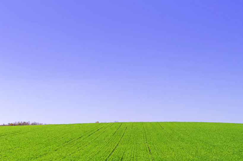 无人,横图,室外,白天,正面,旅游,度假,草地,草坪,美景,植物,北海道,日本,亚洲,地平线,景观,辽阔,地面,娱乐,草,蓝色,绿色,蓝天,天空,自然,天,享受,休闲,广阔,景色,放松,晴朗,一望无际,自然风光,延伸,东亚,万里无云,日本国,天地相交,北海道地方,北海道岛,无边无际,一马平川,晴空,晴空万里,彩图